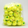 Tourna Pressurized Green Dot 60 Pack Balls 2 Tourna Pressurized Green Dot 60 Pack Balls -Wilson Tennis Club Shop 020447 1
