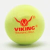 Viking Extra Duty Training Ball 2 Viking Extra Duty Training Ball -Wilson Tennis Club Shop 350144 1