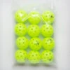 Diadem Premier 40 Outdoor Pickleballs 12 Pack -Wilson Tennis Club Shop 360345 1